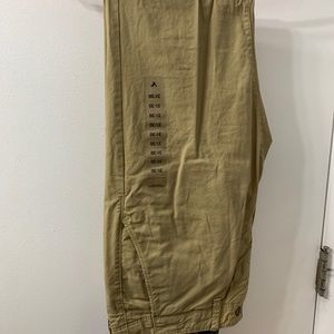 American Eagle Outfitters Mens Skinny Pants